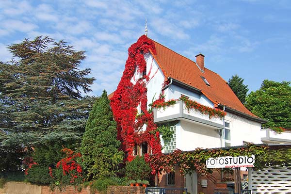 BlickFang2 Fotostudio Weinheim Sommergasse 33 - Haus 2025 600